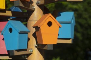 bird house